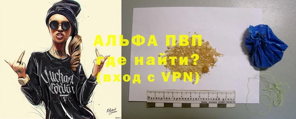 стафф Касимов