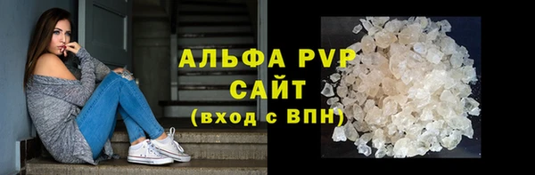 стафф Касимов