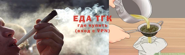 стафф Касимов