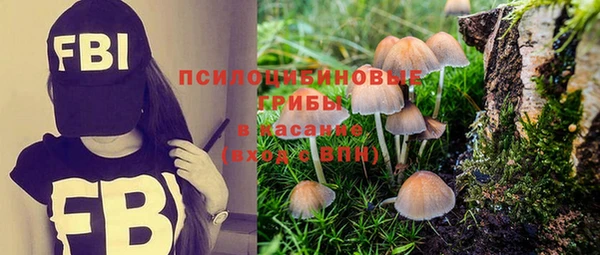 стафф Касимов