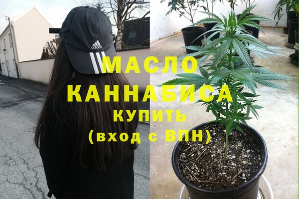 стафф Касимов