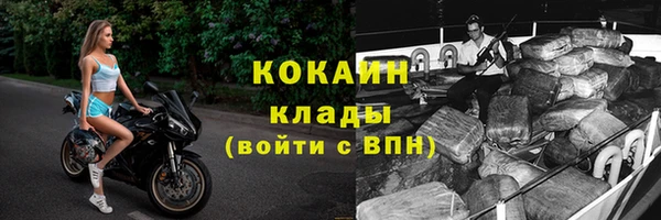 стафф Касимов