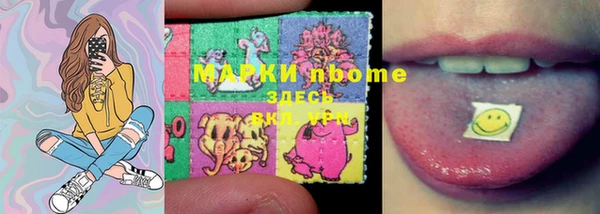 стафф Касимов